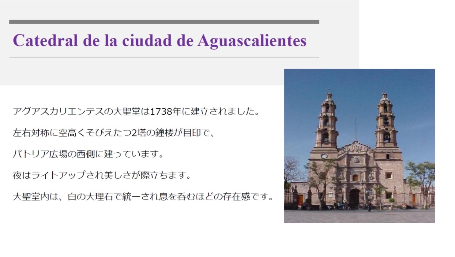 メキシコ日本商工会議所アグアスカリエンテス州セミナー（ウェビナー形式）